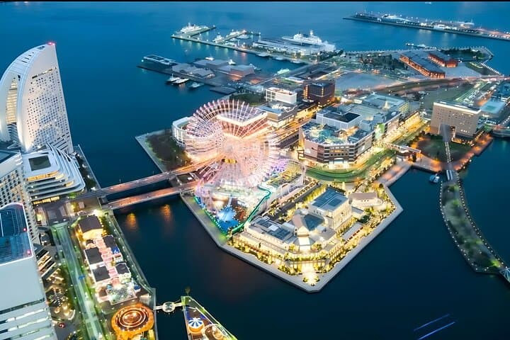 Yokohama/Tokyo Port to Disney: Ticket + Transfer & Private Tour — photo 7