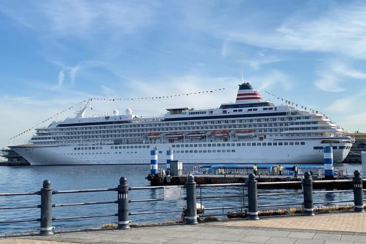 Yokohama/Tokyo Port to Disney: Ticket + Transfer & Private Tour — photo 9