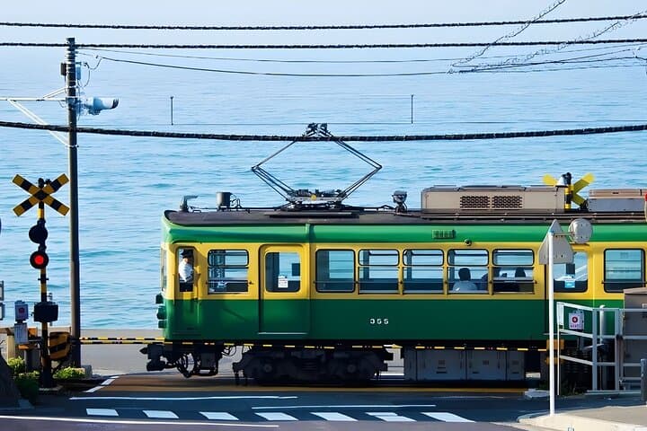 Yokohama/Tokyo Port Drop-off: Disney Ticket & Private Tour — photo 8