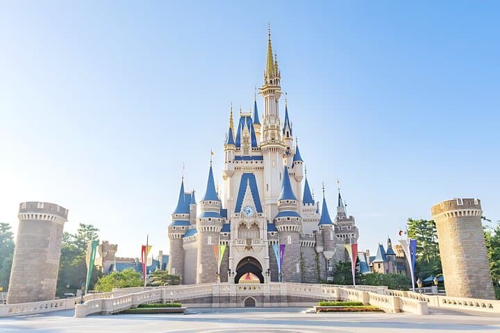 Yokohama/Tokyo Port Drop-off: Disney Ticket & Private Tour — photo 2