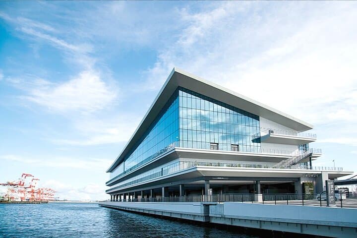 Yokohama/Tokyo Port Drop-off: Disney Ticket & Private Tour — photo 9