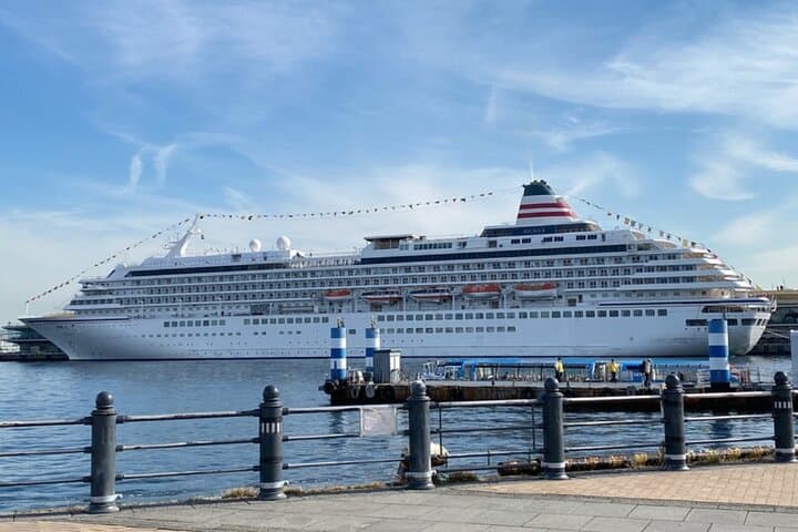 Yokohama/Tokyo Port Drop-off: Disney Ticket & Private Tour — photo 11