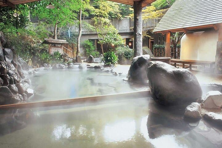 Hakone in One Day: Private Car Tour with Onsen & Mt. Fuji Views