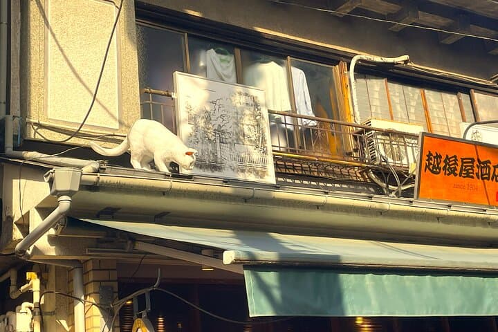 Tokyo Shinjuku Giant 3D, Cat Cafe & Yanaka Cat Town for Cat Lover — photo 15