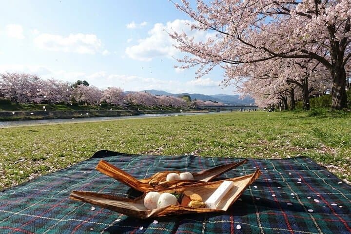 Private Kyoto Homemade Bento & Riverside Picnic Experience — photo 3
