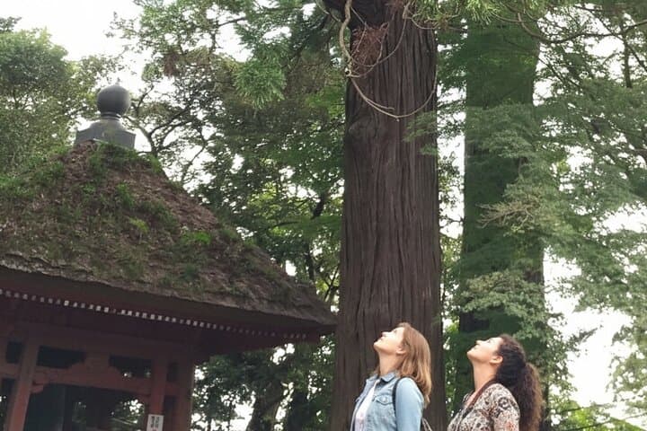 Sacred Mountain Oyama Walking Tour Culture and Nature — photo 16