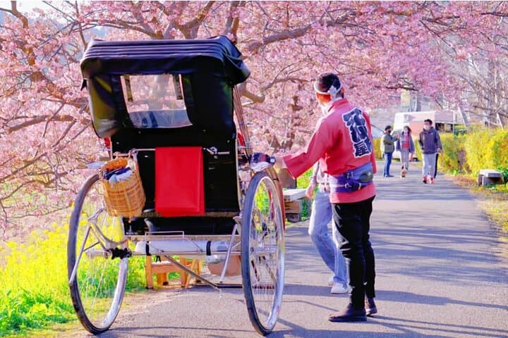 Tokyo Kawazu Cherry Blossom, Strawberry Picking, and Onsen Trip — photo 1