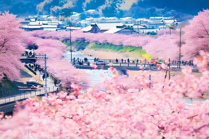 Tokyo Kawazu Cherry Blossom, Strawberry Picking, and Onsen Trip — photo 5