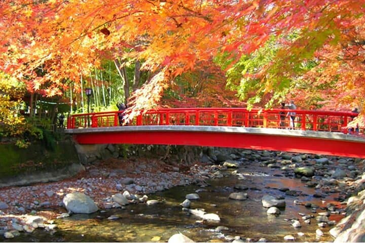 Tokyo Kawazu Cherry Blossom, Strawberry Picking, and Onsen Trip — photo 8