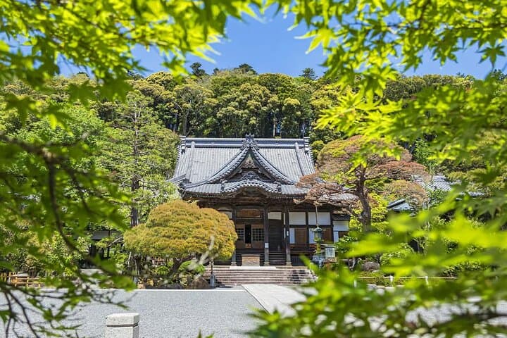 Tokyo Kawazu Cherry Blossom, Strawberry Picking, and Onsen Trip — photo 9