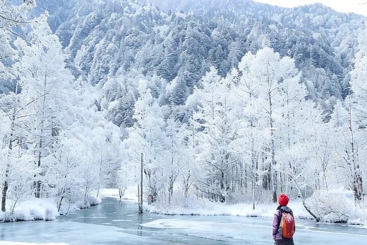 From Nagoya Tateyama Kurobe Snow Wall & Kamikochi 2 Day Tour — photo 13