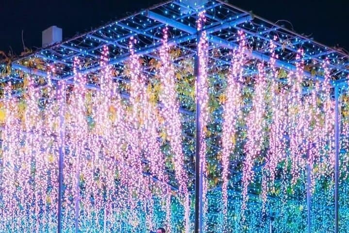 From Tokyo Adachi Night Wisteria & Ibaraki Pink Flowers Day Tour — photo 7