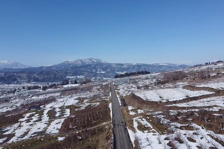 Relaxed Snow Monkeys & Shibu Onsen: Green Season Private Tour — photo 11