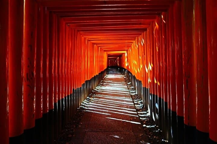 Kyoto Private Car Tour: Full-Day Customizable Highlights — photo 3
