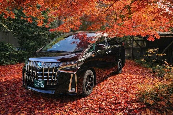 Kyoto Private Car Tour: Full-Day Customizable Highlights — photo 4