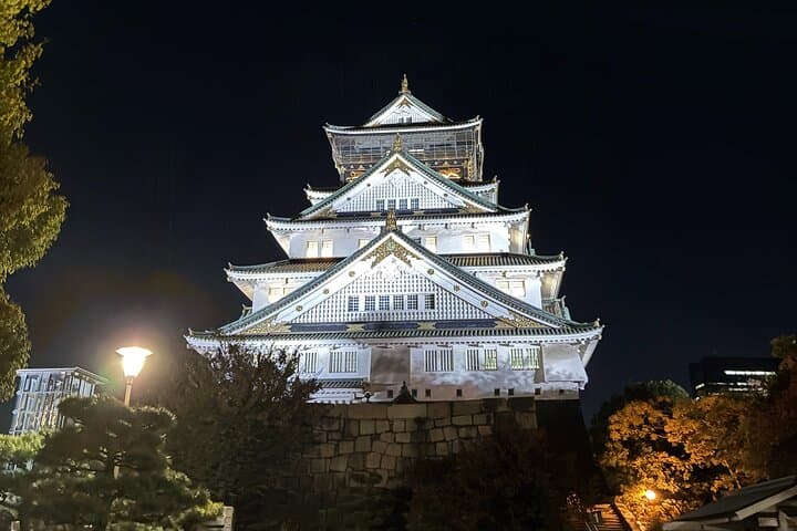 Osaka Castle Walking Tour & Local Izakaya and Bar Hopping — photo 4