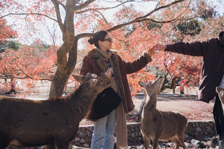 Kyoto & Nara Tour with a Local Guide and Pro Travel Photographer — photo 6
