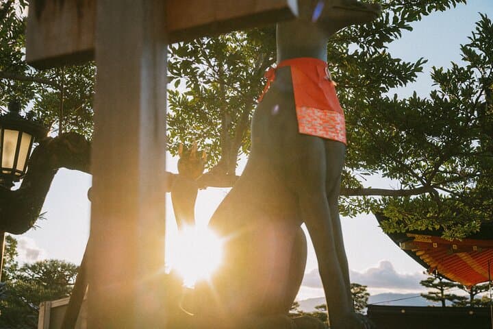 Kyoto & Nara Tour with a Local Guide and Pro Travel Photographer — photo 12