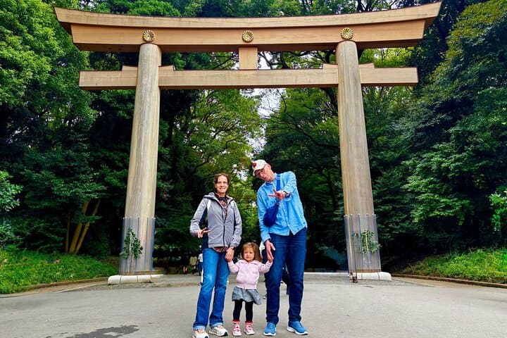 Private Walking Tour in Tokyo - See all Highlights in 1 Day — photo 4