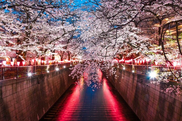 Private Old Tokyo Tour: Asakusa, Ueno with Local Guide — photo 6