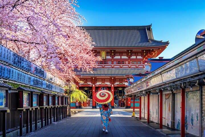 Private Old Tokyo Tour: Asakusa, Ueno with Local Guide — photo 9