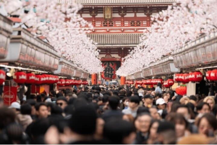 Tokyo: Asakusa, Senso-ji temple & Shrine Walking Tour — photo 17