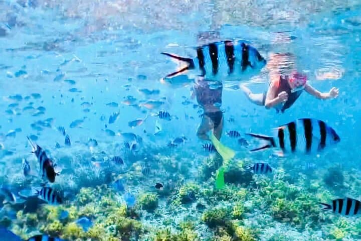 Private Snorkeling Tour in Okinawa — photo 2