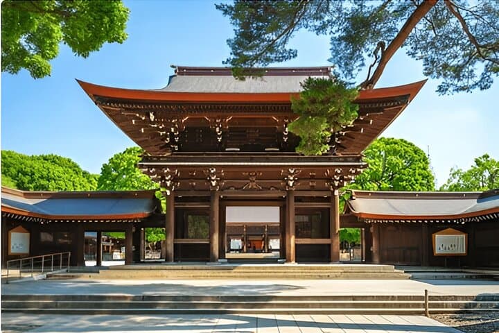 Tokyo Meiji Shrine and Shinto Culture Walking Tour — photo 18