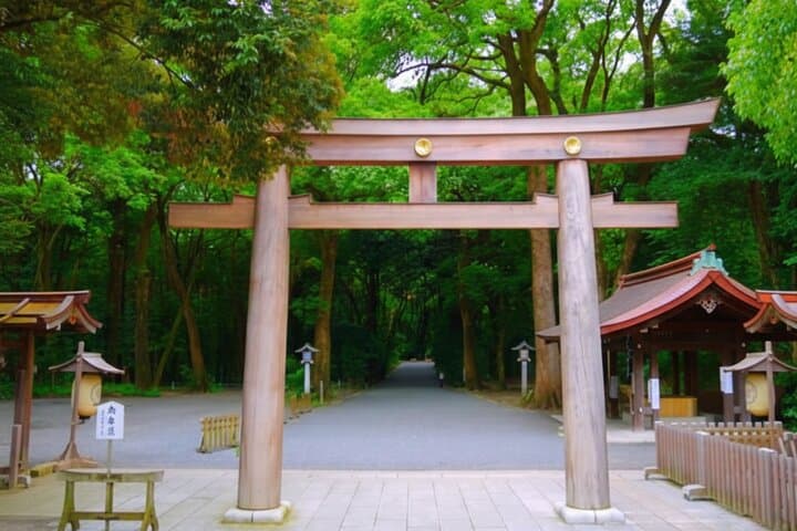 Tokyo Meiji Shrine and Shinto Culture Walking Tour — photo 19