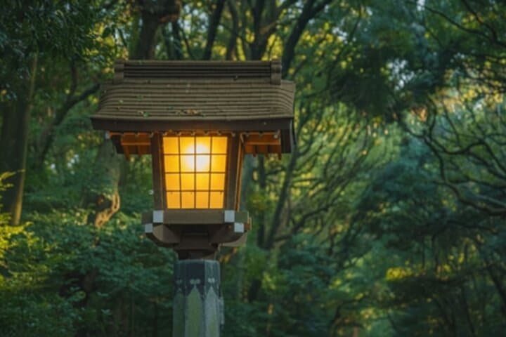Tokyo Meiji Shrine and Shinto Culture Walking Tour — photo 20
