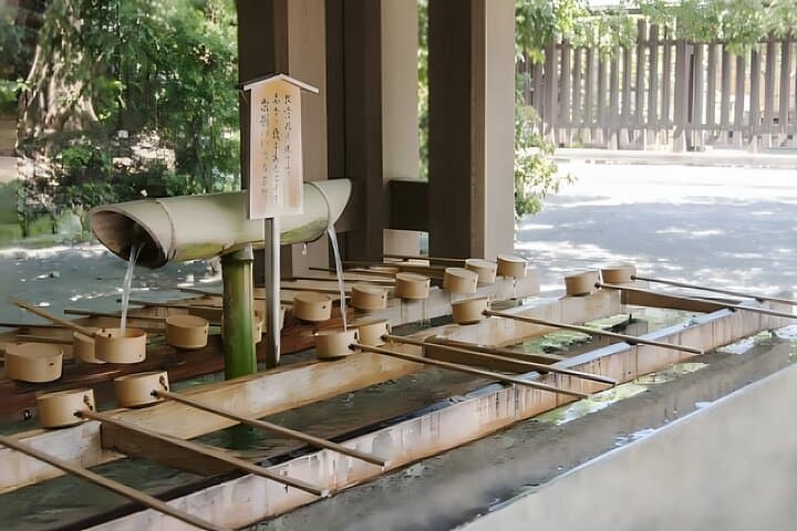 Tokyo Meiji Shrine and Shinto Culture Walking Tour — photo 7
