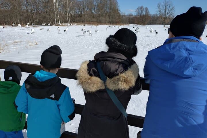 Private Tour with Kushiro Marsh, Tancho, and Local Market — photo 2