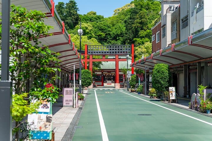 Shimizu Customizable Tour with National Licensed Guide by Car — photo 10