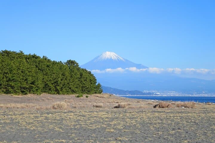 Shimizu Customizable Tour with National Licensed Guide by Car — photo 5