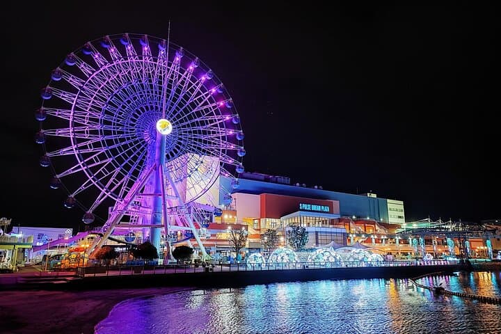 Shimizu Customizable Tour with National Licensed Guide by Car — photo 7
