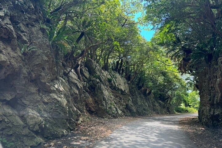 Okinawa-Naha: Romantic Proposal & Anniversary Private Photo Tour — photo 16