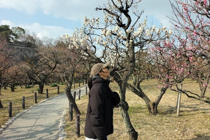 Osaka Castle: Warrior Monks, a Peasant, and a Shogun — photo 5
