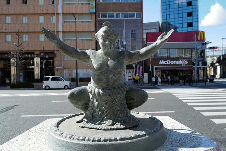 Tokyo Private 6 Hour Tour Sumo Experience with Lunch and Guide — photo 5