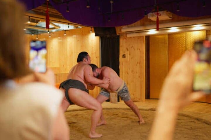 Tokyo Private 6 Hour Tour Sumo Experience with Lunch and Guide — photo 3