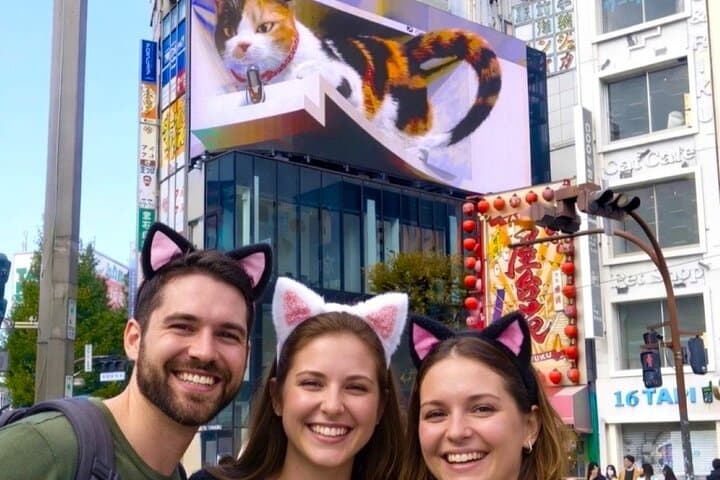Tokyo Night Tour: Shinjuku Cat Cafe, 3D Cat & Original 3D Latte — photo 5