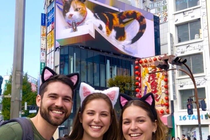 Tokyo: Gotokuji Lucky Cat Temple, Shinjuku Cat Cafe, 3D Giant Cat — photo 5
