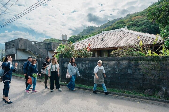 Blue Zone Home Cooking & Local Life in Ogimi — photo 15