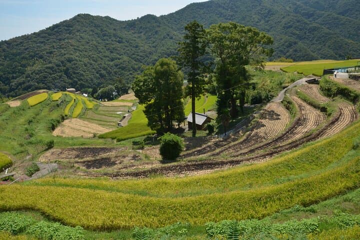 Experience Tour of Nakayama Senmaida and the Rural Kabuki Stage — photo 2