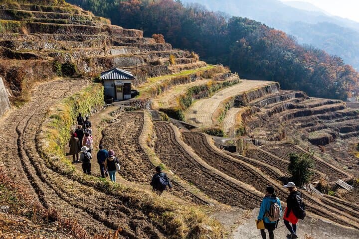 Experience Tour of Nakayama Senmaida and the Rural Kabuki Stage — photo 4