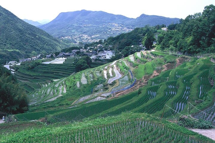 Experience Tour of Nakayama Senmaida and the Rural Kabuki Stage — photo 6
