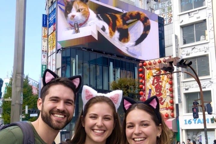 Tokyo Shinjuku Giant 3D, Cat Cafe & Yanaka Cat Town for Cat Lover — photo 6