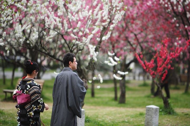 Kyoto Imperial Palace & Nijo Castle Guided Walking Tour - 3 Hours — photo 2