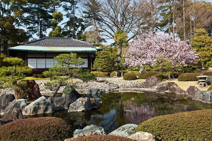 Kyoto Imperial Palace & Nijo Castle Guided Walking Tour - 3 Hours — photo 4