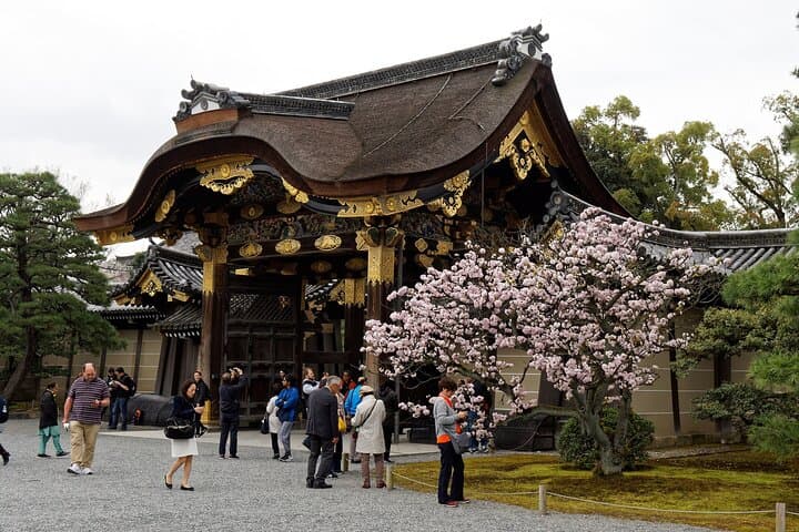Kyoto Imperial Palace & Nijo Castle Guided Walking Tour - 3 Hours — photo 1