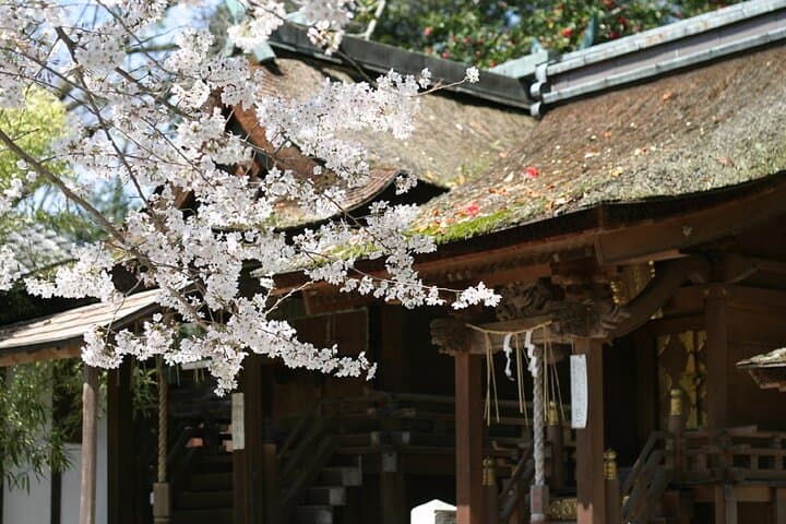 Kyoto Imperial Palace & Nijo Castle Guided Walking Tour - 3 Hours — photo 5